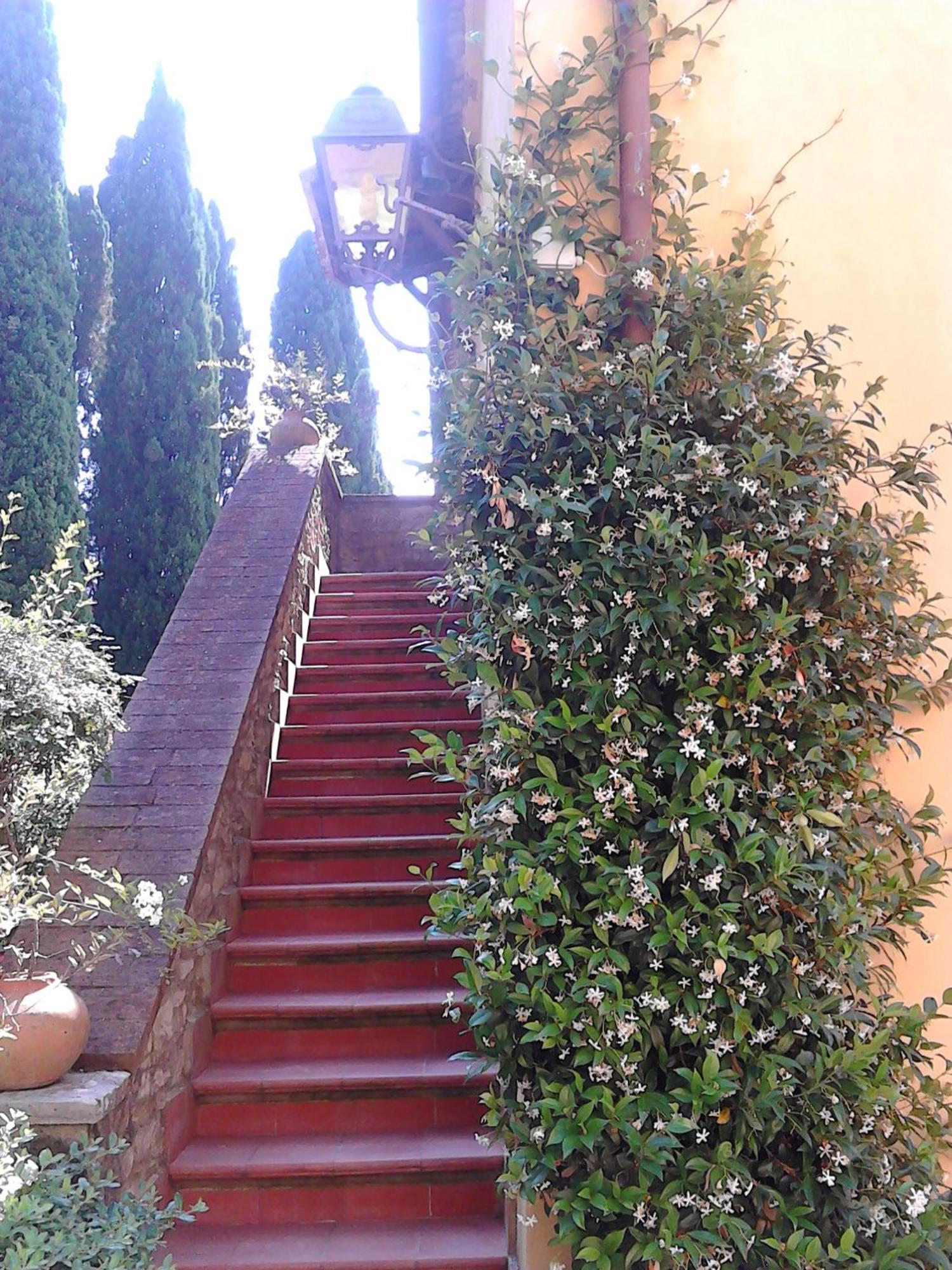 Tenuta La Bandita Sassetta Exterior foto